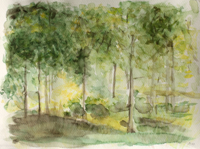 a13